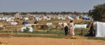 On Int’l Day of Peace, calls from eastern Chad and Darfur to end Sudan’s war