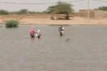 السيول تدمر عشرات المنازل بقريتي السلمة والنوبية بمحلية بربر بولاية نهر النيل