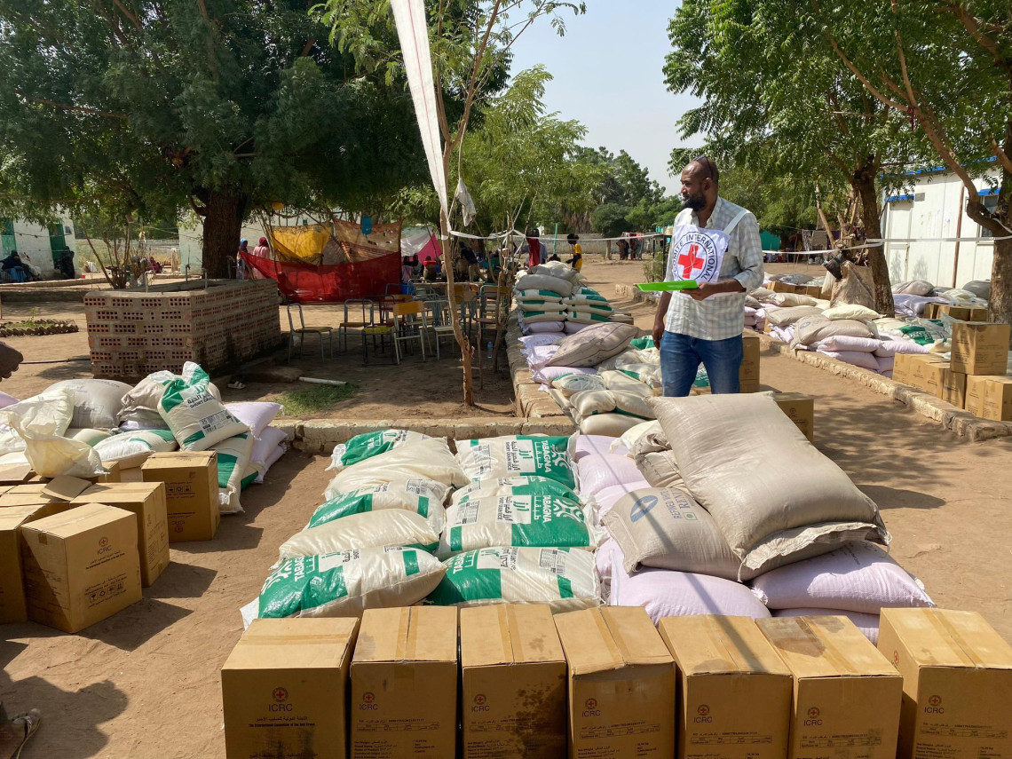 #WorldHumanitarianDay: Sudan resilient despite crisis