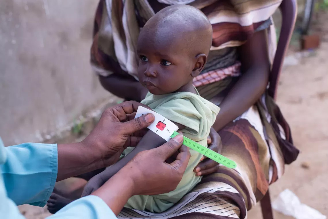 Hunger, malnutrition and fuel shortages compound Sudan’s humanitarian crisis