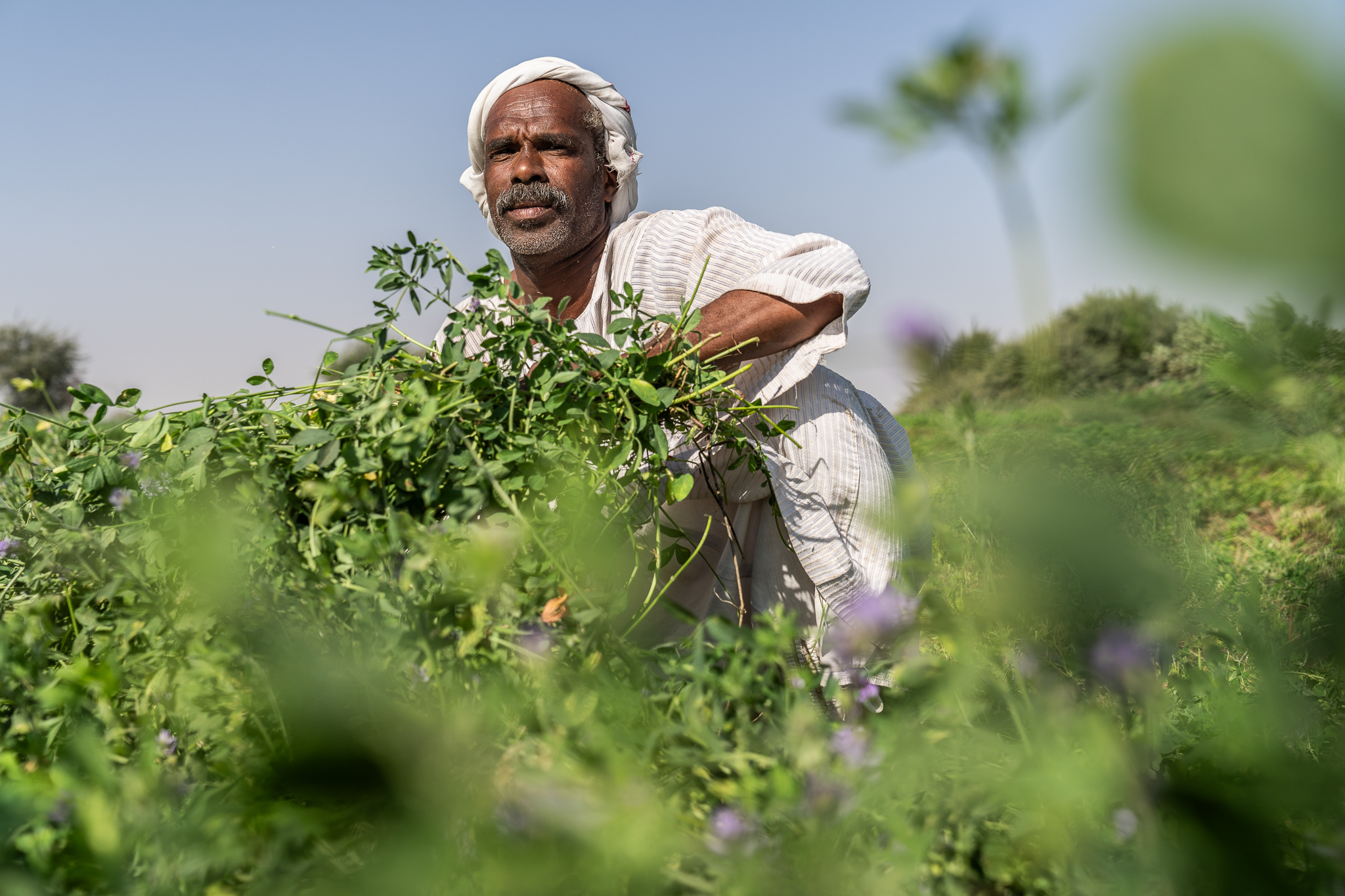 UNDP study: ‘$3 billion in damage to electrical grid since Sudan war broke out’