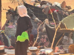 النازحون من الفاشر إلى طويلة