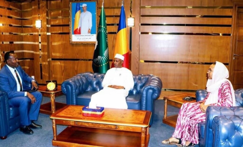 الرئيس التشادي يستقبل القائم بالأعمال السوداني