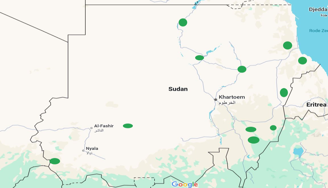 At least eight dead, homes and roads washed away amid widespread flooding in Sudan