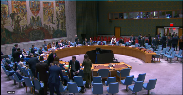 اجتماع مجلس الأمن - اكتوبر 2025-لقطة شاشة من البث المباشر للاجتماع