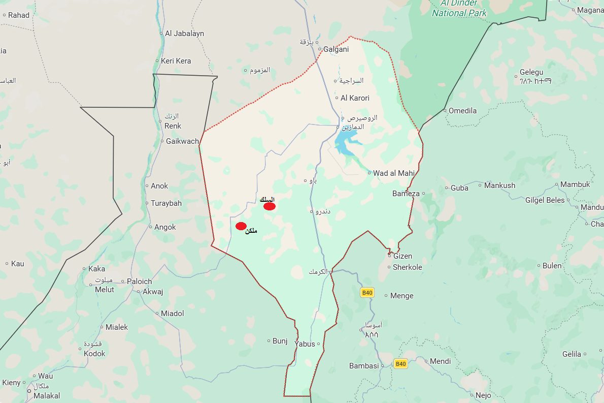 Sudan war: New RSF offensive in Blue Nile ‘diversion from Kordofan front’