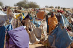 Op-ed: A land abandoned – The cost of global silence on Darfur