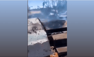 لقطة شاشة من مقطع فيديو يظهر آثار الدمار بسبب هجوم بمسيرة على منطقة الزرق بشمال دارفور -3 يناير 2025 -وسائل التواصل