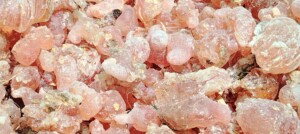 حصاد الصمغ العربي في النيل الأزرق- فبراير 2026- صفحة حكومة اقليم النيل الأزرق على فيسبوك