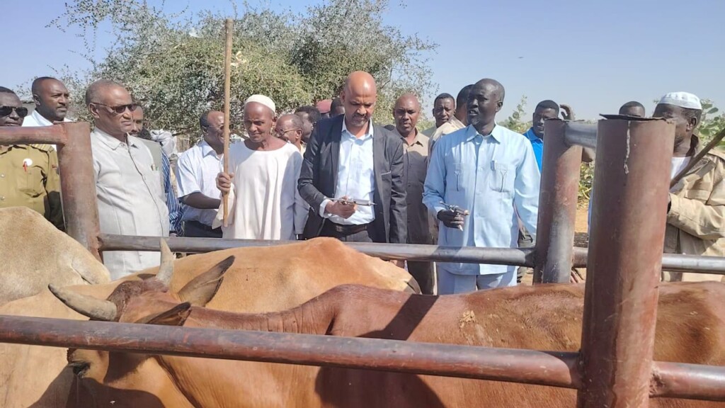 تدشين تحصين الماشية في شرق دارفور-فبراير 2026-راديو دبنقا