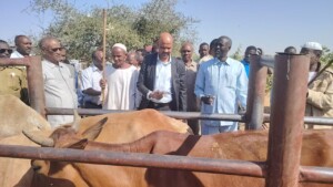 تدشين تحصين الماشية في شرق دارفور-فبراير 2026-راديو دبنقا