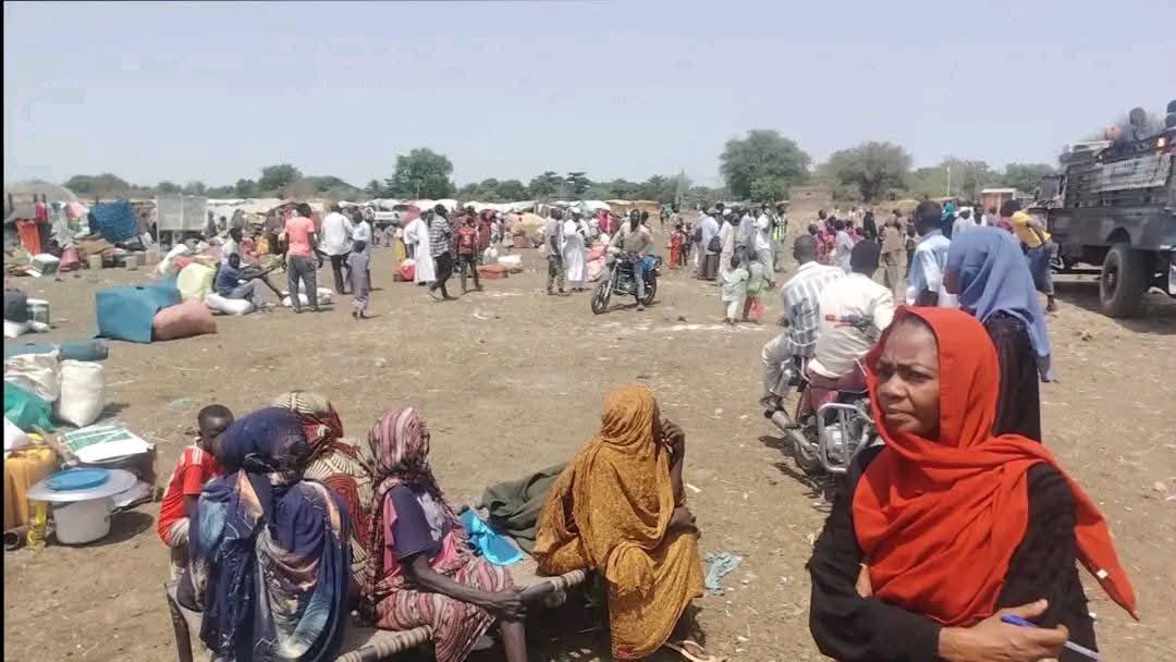 ‘RSF and SPLM-N seize parts of Sudan’s Blue Nile region’ as more than 73,000 flee