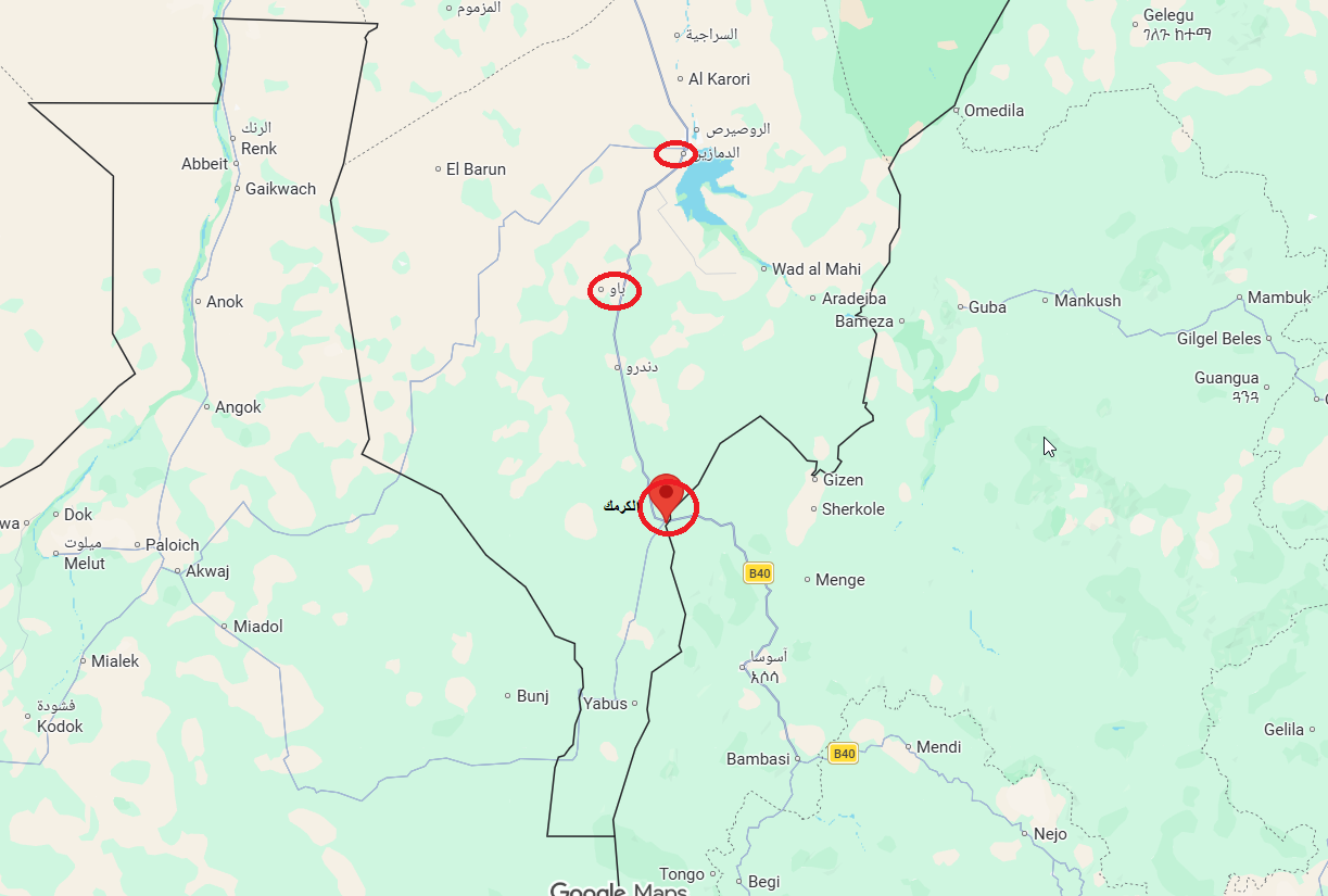 السودان – تحالف “المؤسسة” يُحكم سيطرته على الكرمك واتهامات حكومية لإثيوبيا