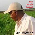 اعتقال مهندس في الدندر ومحامو الطوارئ تحذر من استمرار حالات الإخفاء القسري