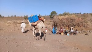 فرق منظمة أطباء بلا حدود للتطعيم - جبل مرة - أطباء بلا حدود