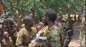 القوات المسلحة تعلن صدهجوم جديد على سالي بالنيل الأزرق-28 ابريل 2026-وسائل التواصل