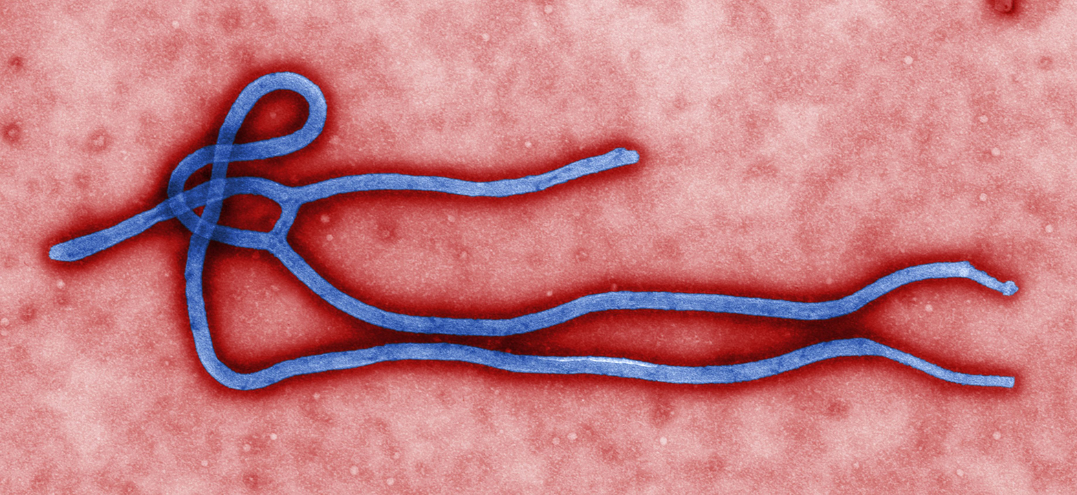 Ebola: Sudanese embassy in Kampala issues warning as Uganda on high alert