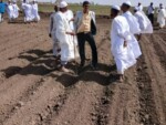 خبير زراعي: على الحكومة أن تتدخل بقوة لإنجاح الموسم الزراعي