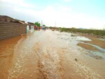 أمطار غزيرة تضرب ولايات سودانية .. وفاة طفل في سنكات وانهيار 346 منزلاً بربك