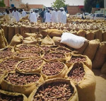 المعيشية ( نار) في الشمالية و جوال (البلح) يتراجع الى ما يعادل (كيلو ونصف لحم عجالي)