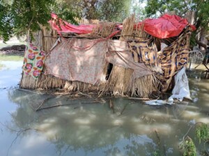 "راكوبة" مصنوعة من القش والحصير وبقايا الأقمشة تؤوي نايلة وأطفالها الستة وسط مياه الفيضانات التي حاصرت مسكنهم خلال موسم الخريف.- راديو دبنقا
