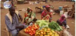 Sudan Founding Alliance ‘Tasees’ claims 21 civilians killed in West Kordofan airstrikes