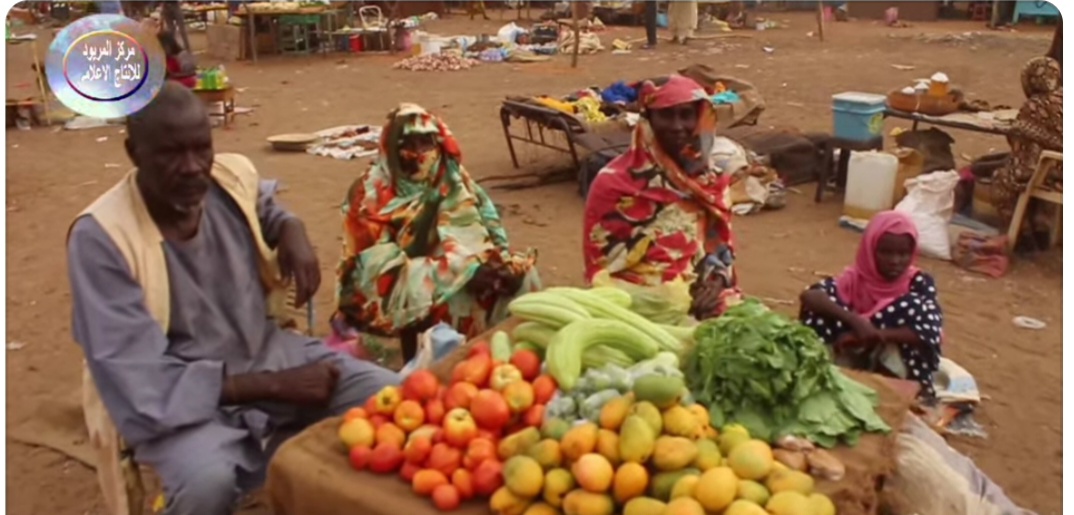 Sudan Founding Alliance ‘Tasees’ claims 21 civilians killed in West Kordofan airstrikes