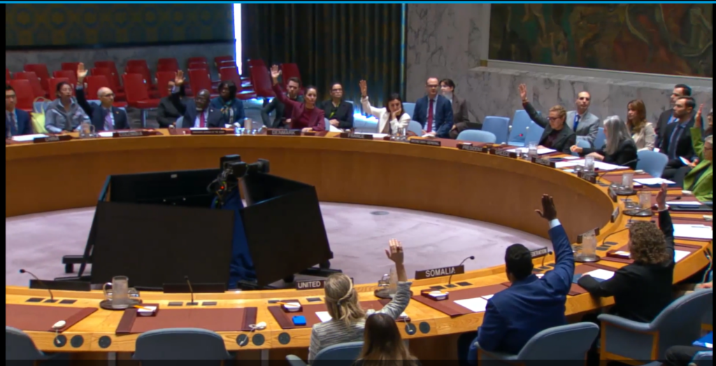 تصويت مجلس الأمن الدولي علىتمديد نظام العقوبات على السودان - 8 أكتوبر 2026- لقطة شاشة من مقطع فيديو على موقع الأمم المتحدة